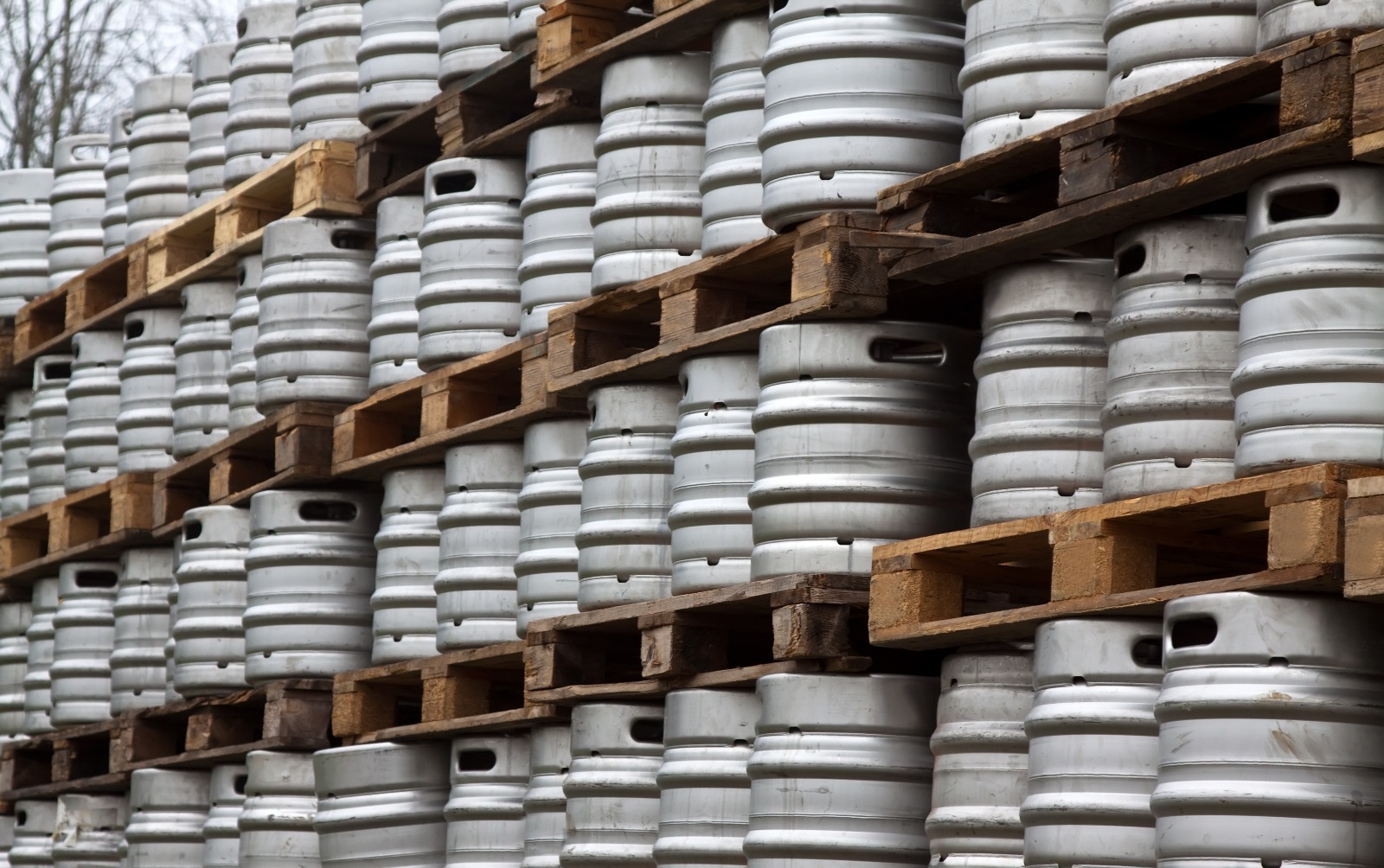 العبوات البلاستيكية والحديدية